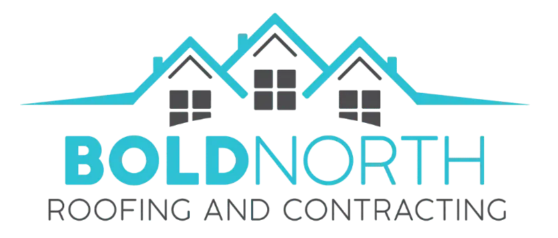 Bold north logo colored alt